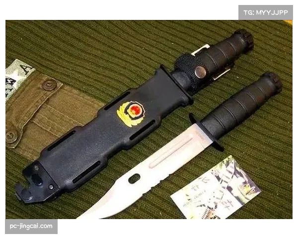 深度报道：意大利教练学院课程更新，强调战术多样性以适应不同俱乐部风格